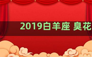 2019白羊座 臭花儿